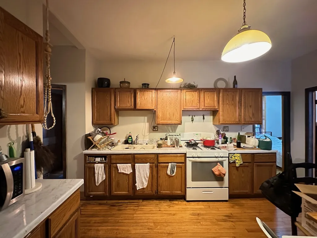 951 N Hoyne Ave, ,  60622, USA 60622-unit#3-Chicago-IL