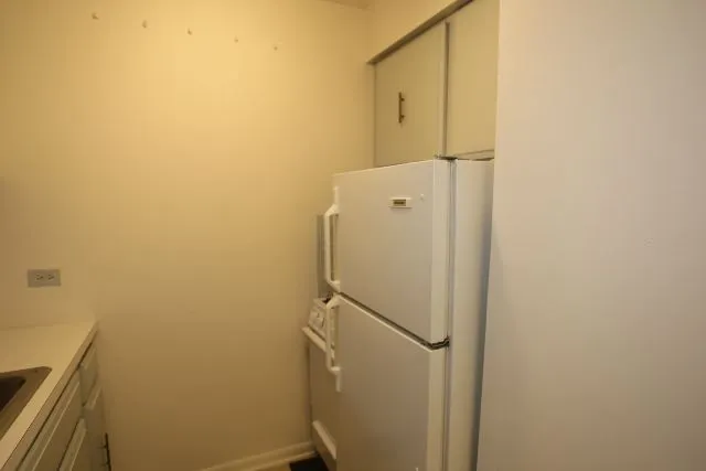 663 W Grace St, ,  60613, USA 60613-unit#303-Chicago-IL