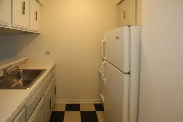 663 W Grace St, ,  60613, USA 60613-unit#303-Chicago-IL