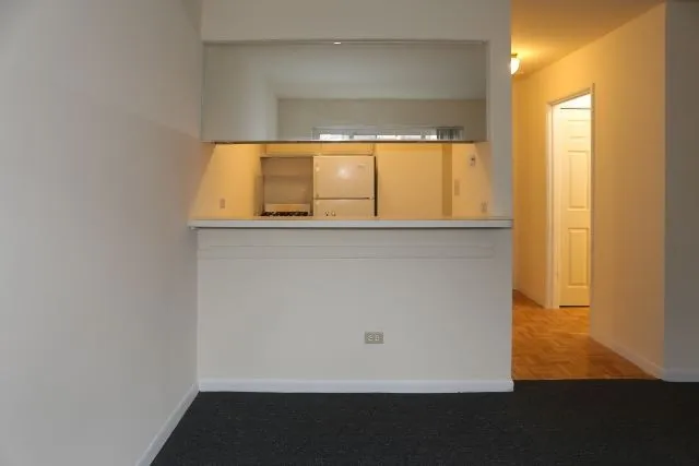 663 W Grace St, ,  60613, USA 60613-unit#303-Chicago-IL