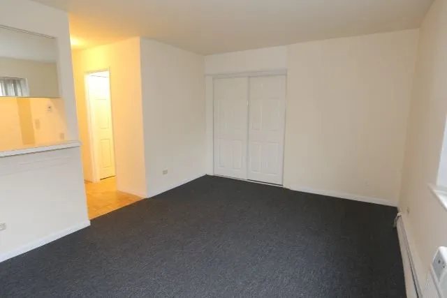 663 W Grace St, ,  60613, USA 60613-unit#303-Chicago-IL