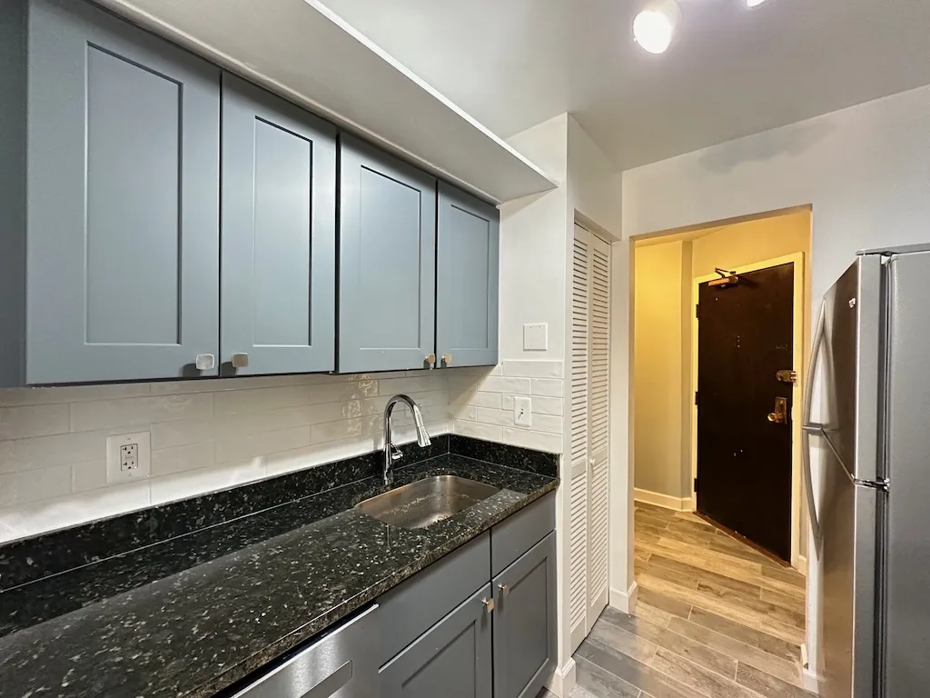 3825 N Pine Grove Ave, , 60613, USA 60613-unit#210-Chicago-IL