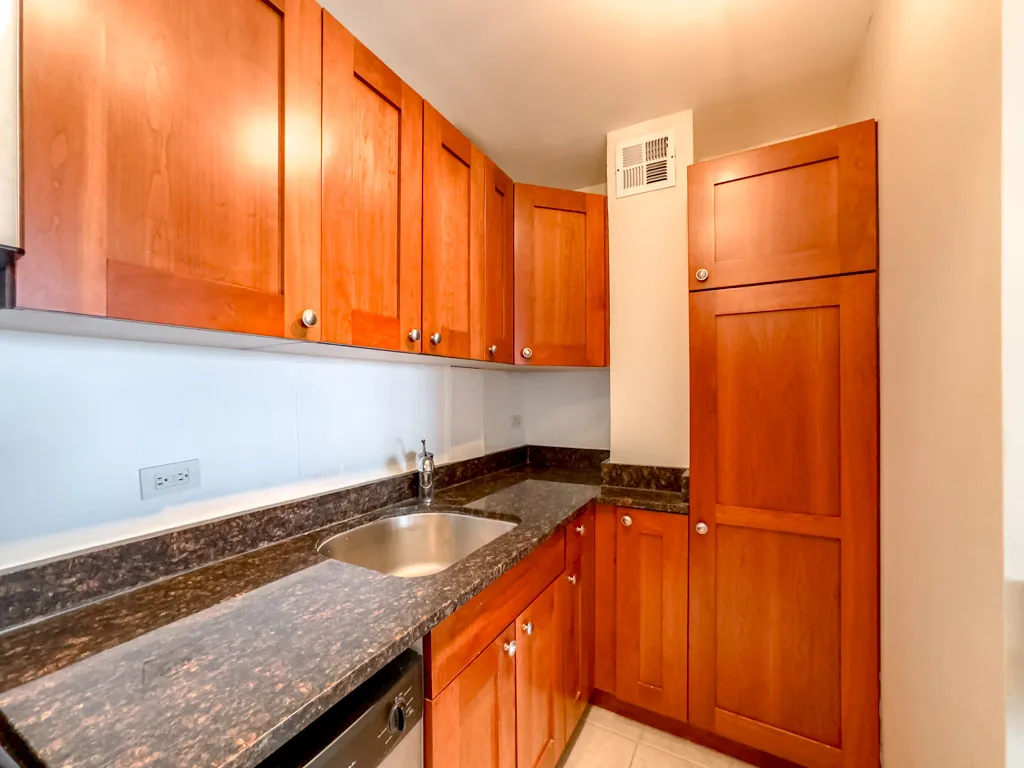 4180 N Marine Dr, ,  60613, USA 60613-unit#1612-Chicago-IL