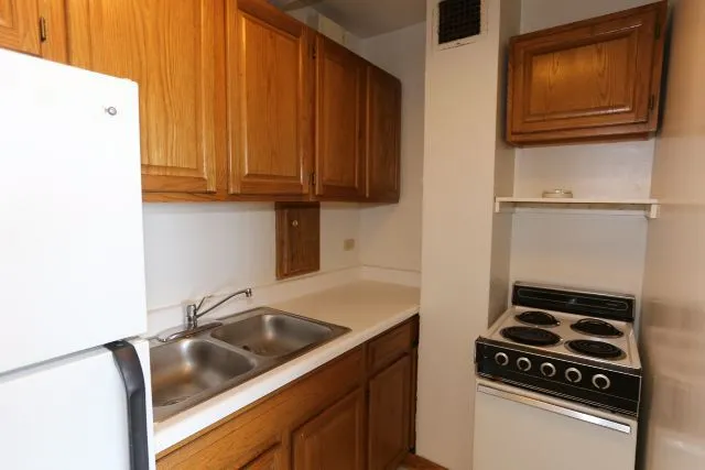 4180 N Marine Dr, ,  60613, USA 60613-unit#1310-Chicago-IL