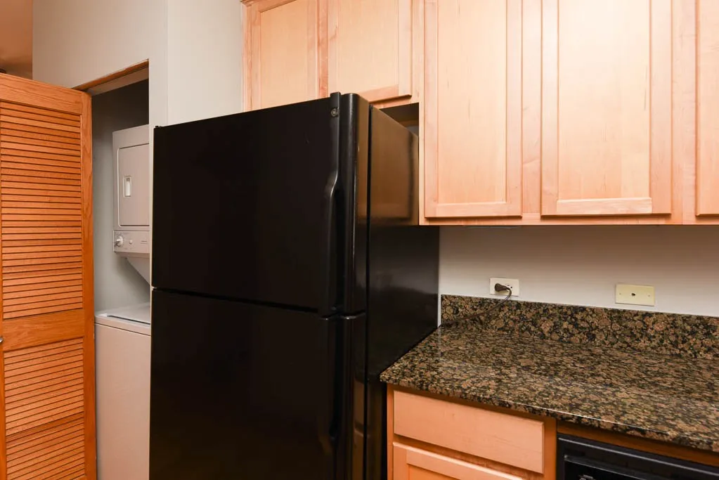 3248 N Clifton Ave, ,  60657, USA 60657-unit#3S-Chicago-IL