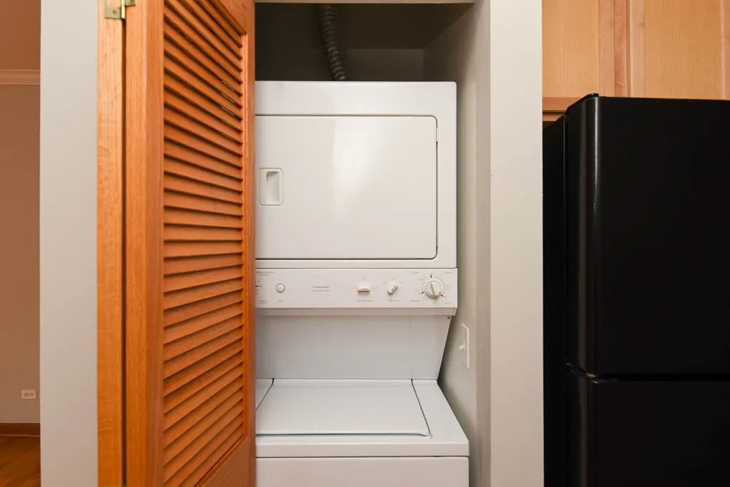 3248 N Clifton Ave, ,  60657, USA 60657-unit#3S-Chicago-IL