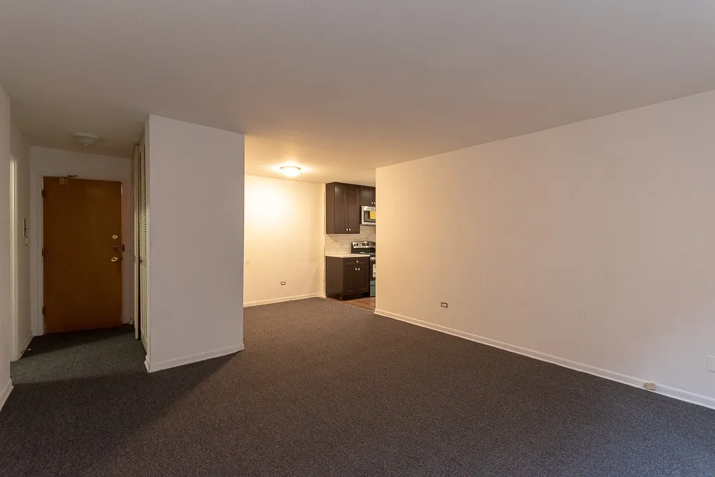 520 W Aldine Ave, , 60657, USA 60657-unit#306-Chicago-IL