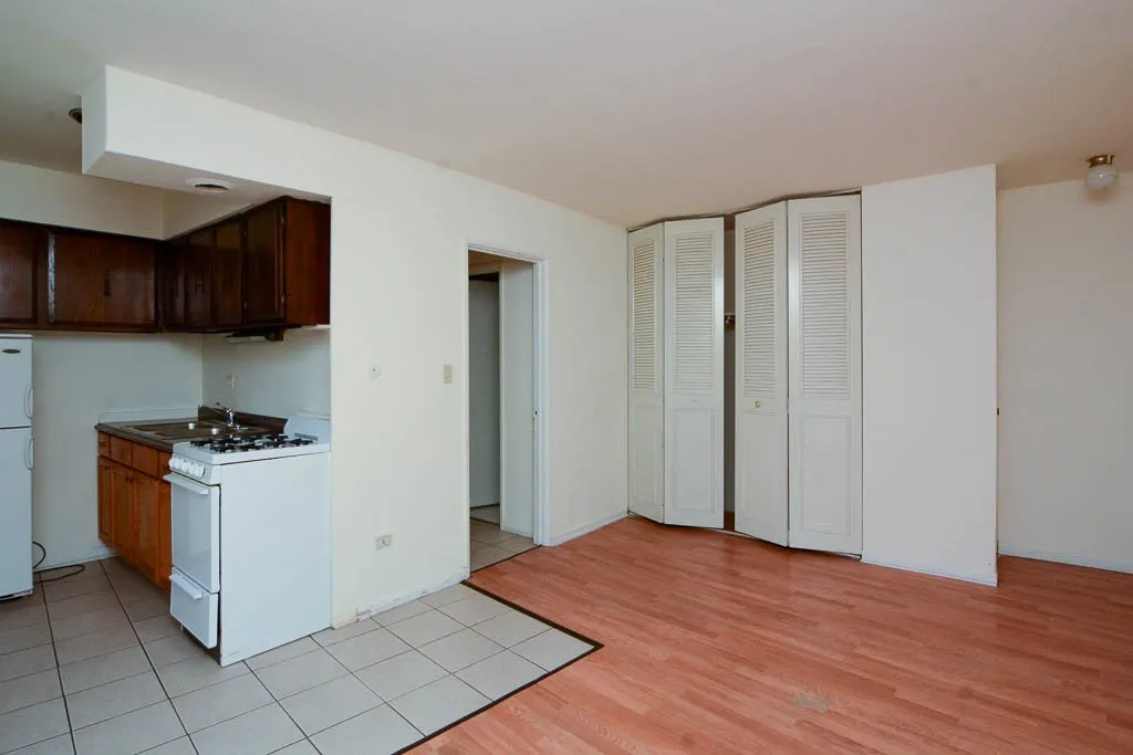 663 W Grace St, ,  60613, USA 60613-unit#212-Chicago-IL