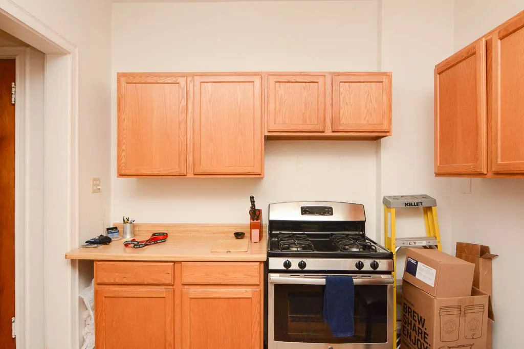 1408 W Rosemont Ave, , 60660, USA 60660-unit#1-Chicago-IL
