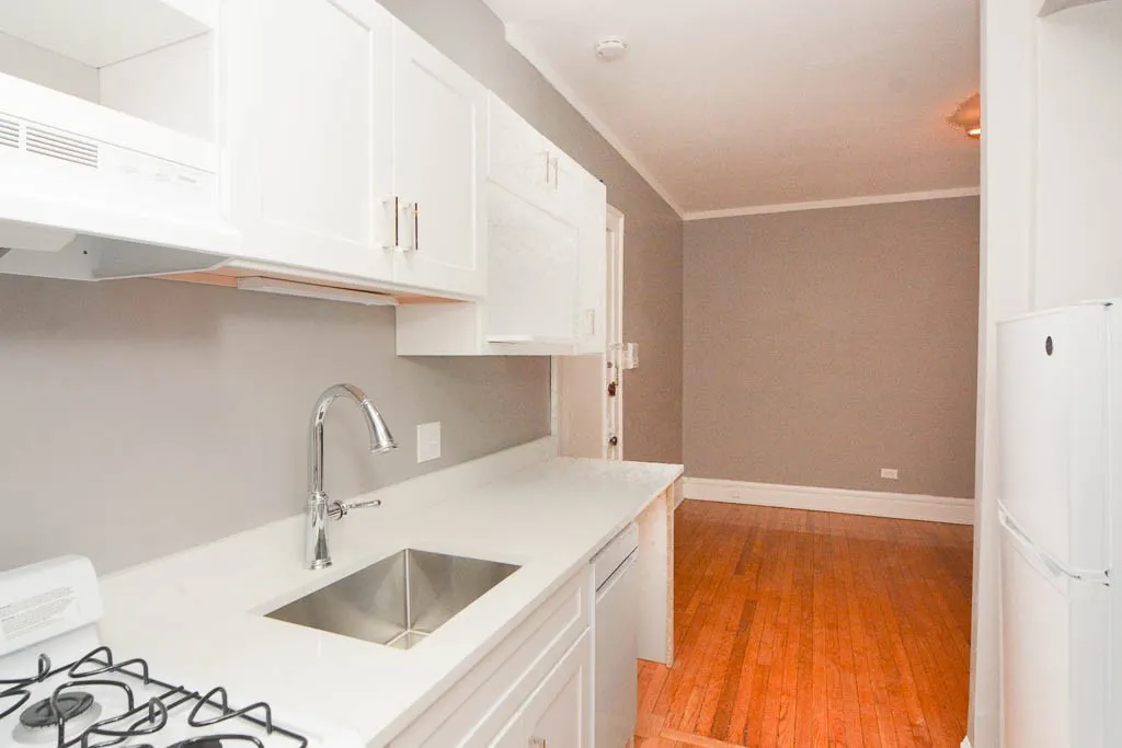 441 W Melrose St, , 60657, USA 60657-unit#1B-Chicago-IL