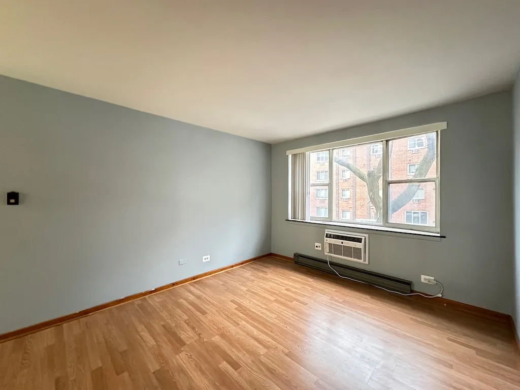 3825 N Pine Grove Ave, ,  60613, USA 60613-unit#206-Chicago-IL