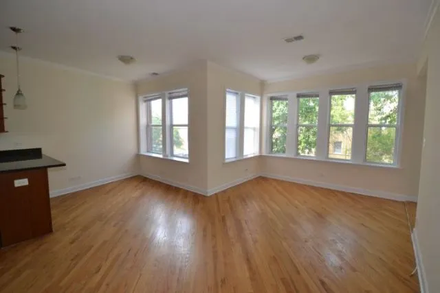 1623 W Wallen Ave, ,  60626, USA 60626-unit#2-Chicago-IL