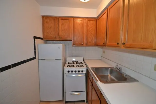 663 W Grace St, ,  60613, USA 60613-unit#101-Chicago-IL