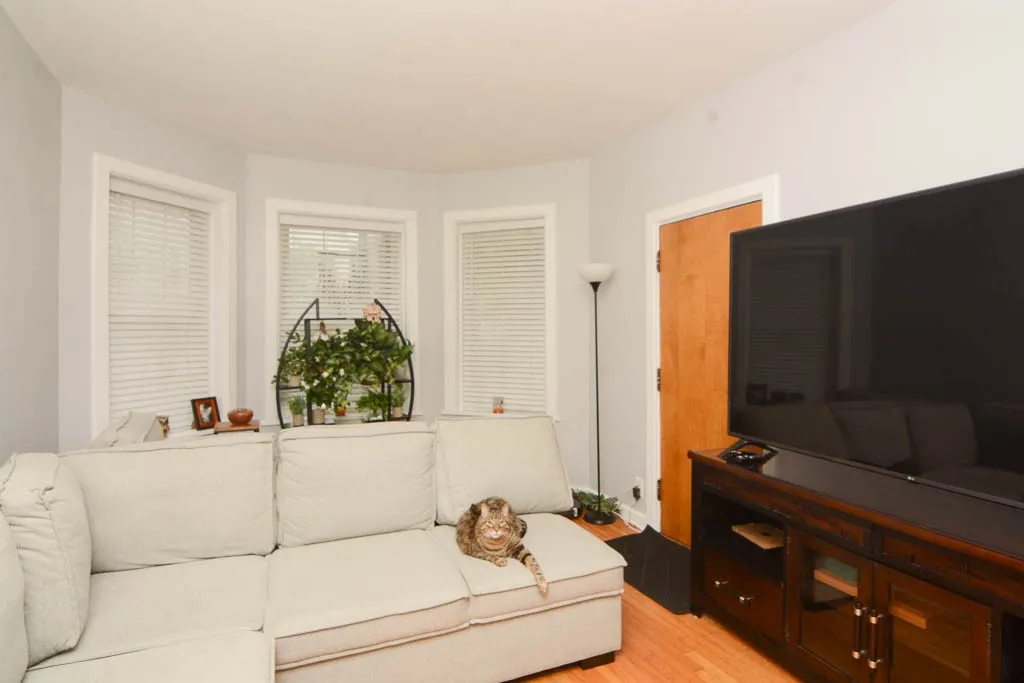 1722 W Fletcher St, ,  60657, USA 60657-unit#1-Chicago-IL