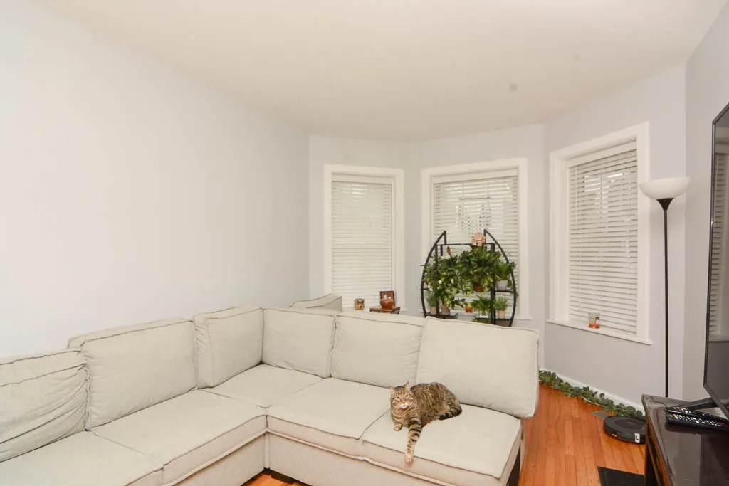 1722 W Fletcher St, ,  60657, USA 60657-unit#1-Chicago-IL