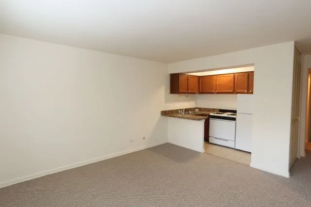 540 W Roscoe St, ,  60657, USA 60657-unit#270-Chicago-IL