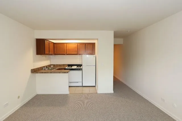 540 W Roscoe St, ,  60657, USA 60657-unit#270-Chicago-IL