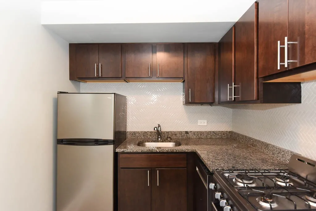 1435 N Dearborn St, , 60610, USA 60610-unit#4B-Chicago-IL