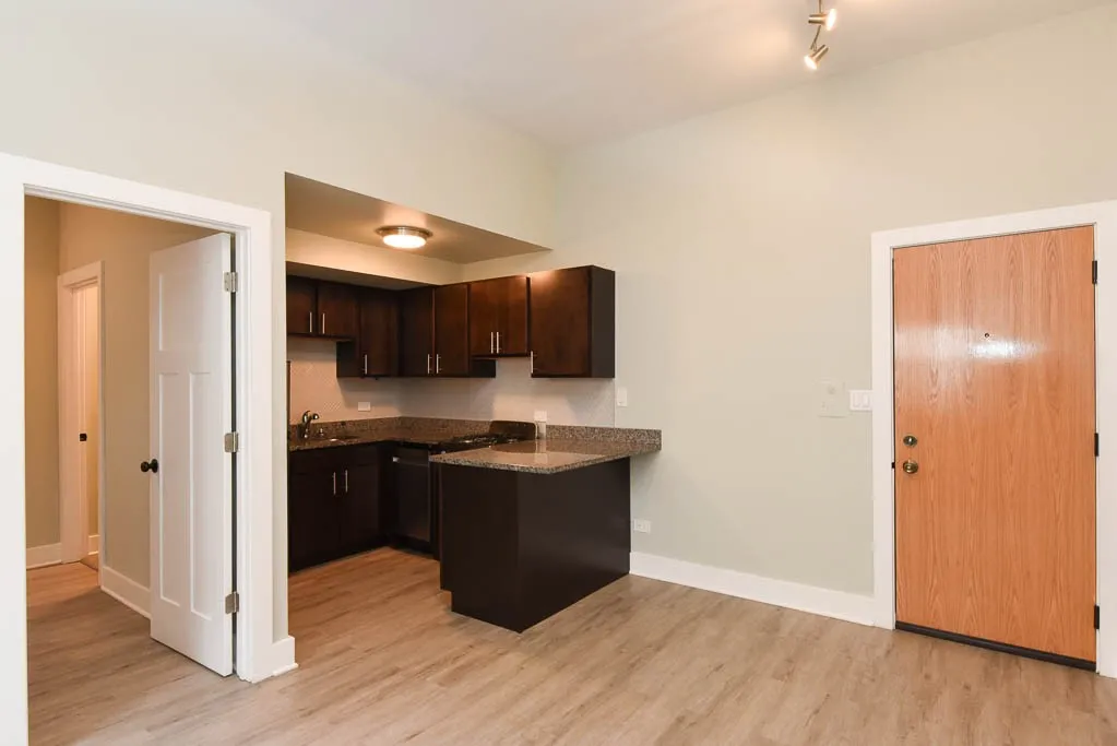 1435 N Dearborn St, , 60610, USA 60610-unit#4B-Chicago-IL