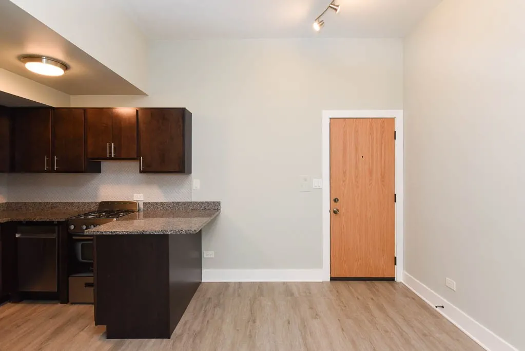 1435 N Dearborn St, , 60610, USA 60610-unit#4B-Chicago-IL