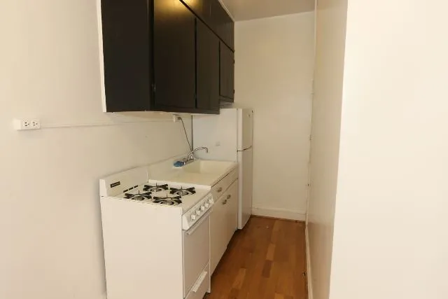 4631 N Paulina St, ,  60640, USA 60640-unit#305-Chicago-IL