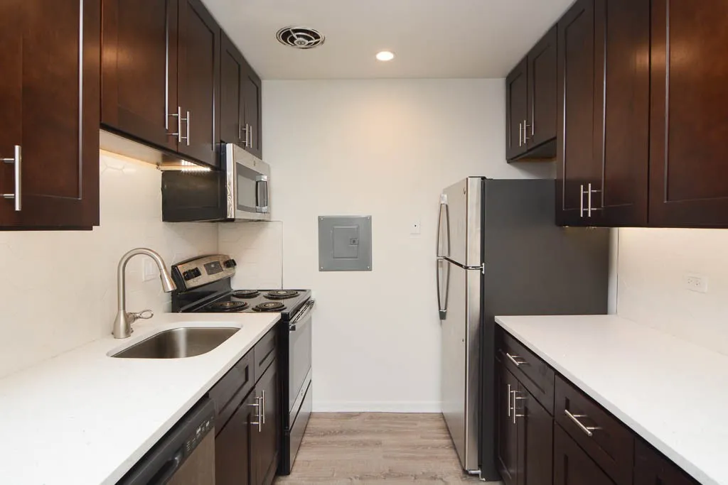 520 W Aldine Ave, ,  60657, USA 60657-unit#307-Chicago-IL