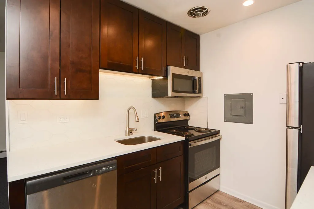 520 W Aldine Ave, ,  60657, USA 60657-unit#307-Chicago-IL