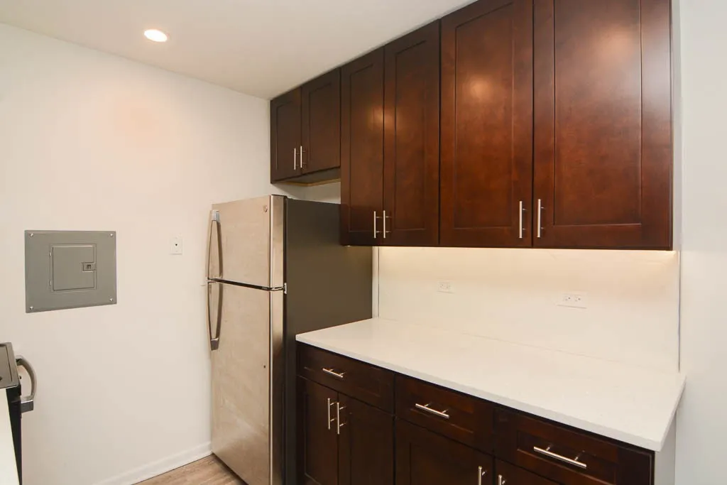 520 W Aldine Ave, ,  60657, USA 60657-unit#307-Chicago-IL