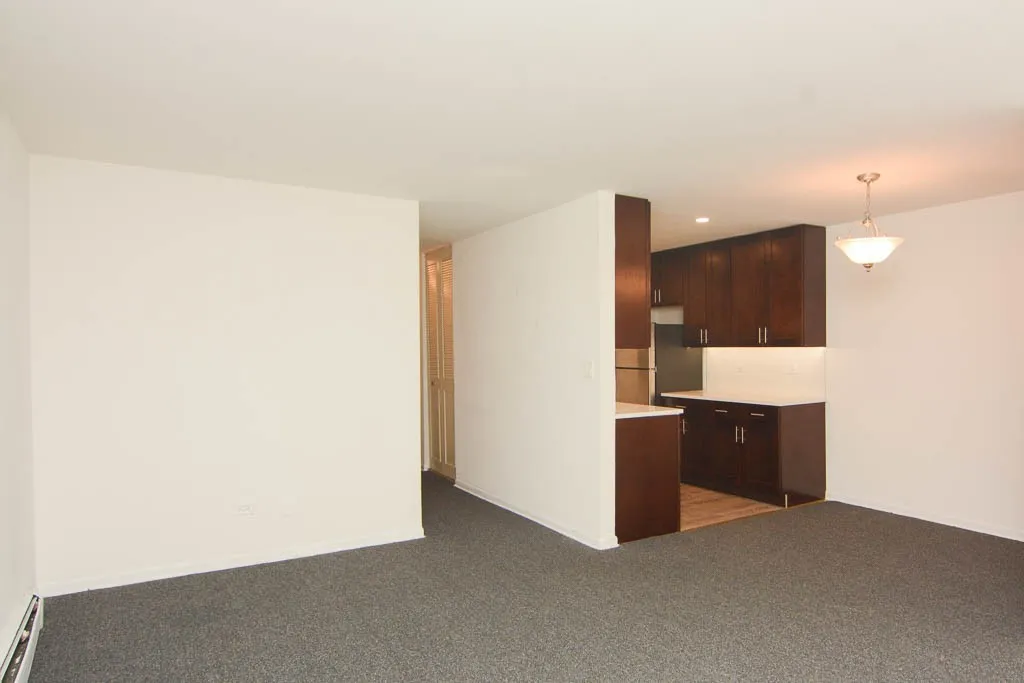 520 W Aldine Ave, ,  60657, USA 60657-unit#307-Chicago-IL