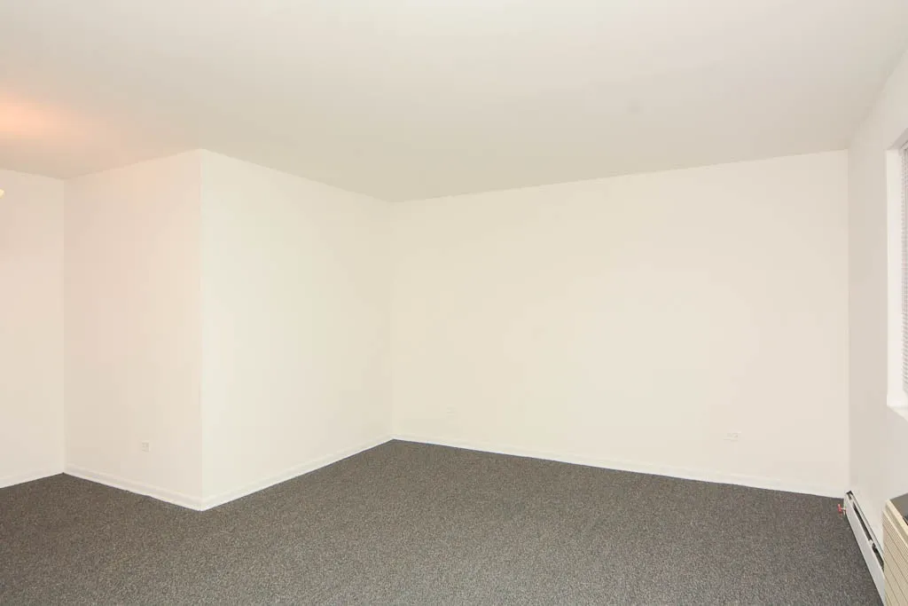 520 W Aldine Ave, ,  60657, USA 60657-unit#307-Chicago-IL
