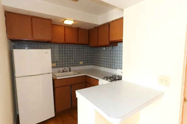 1435 N Dearborn St, , 60610, USA 60610-unit#3B-Chicago-IL