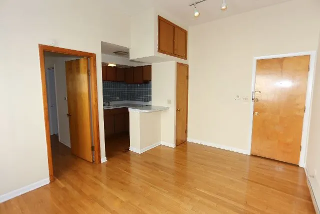 1435 N Dearborn St, ,  60610, USA 60610-unit#3B-Chicago-IL