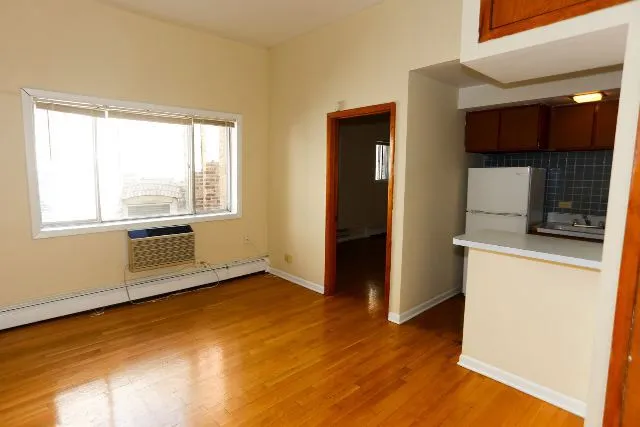 1435 N Dearborn St, ,  60610, USA 60610-unit#3B-Chicago-IL