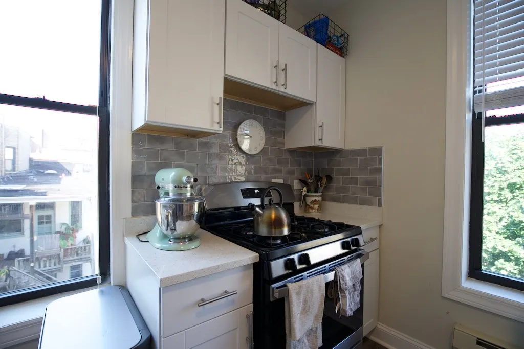 2909 N Mildred Ave, ,  60657, USA 60657-unit#3-Chicago-IL