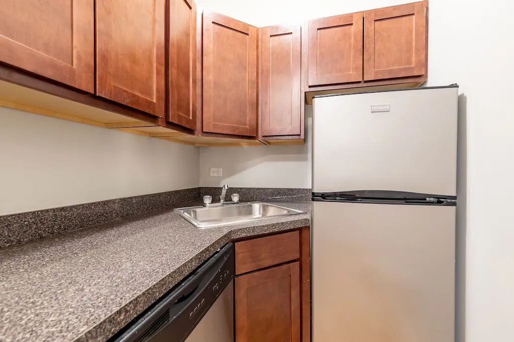 511 W Melrose St, ,  60657, USA 60657-unit#310-Chicago-IL