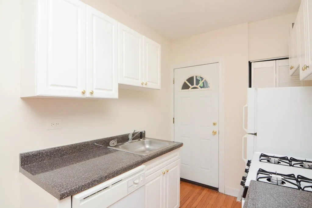 2952 N Seminary Ave, ,  60657, USA 60657-unit#1-Chicago-IL