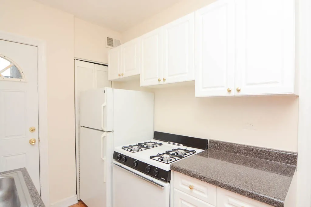 2952 N Seminary Ave, ,  60657, USA 60657-unit#1-Chicago-IL