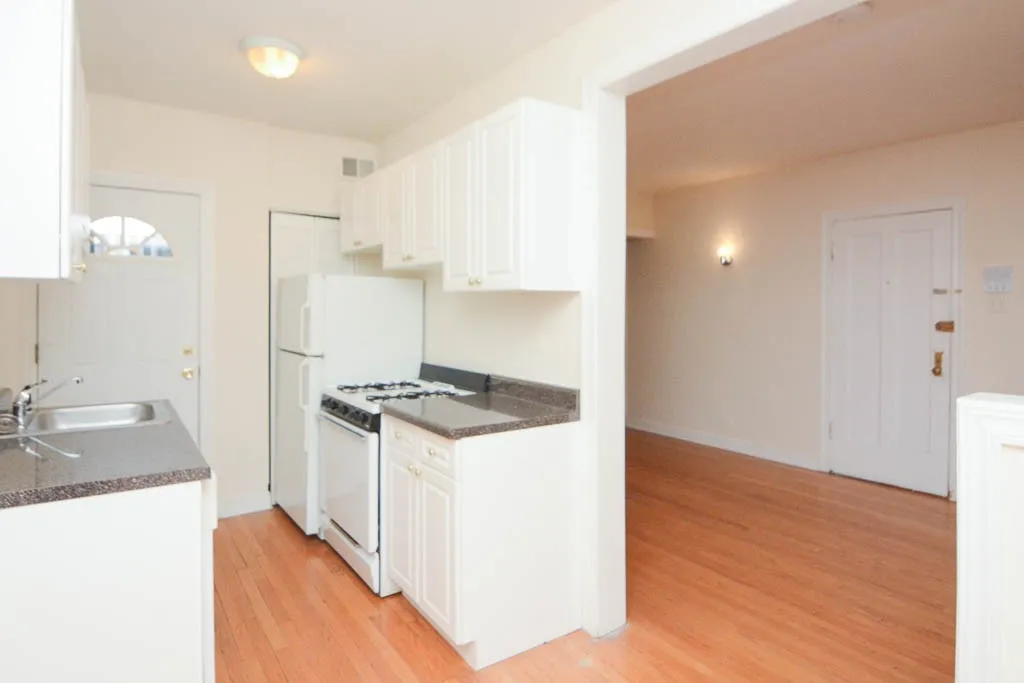 2952 N Seminary Ave, ,  60657, USA 60657-unit#1-Chicago-IL