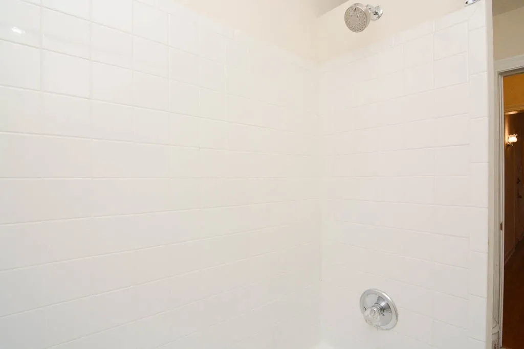 2952 N Seminary Ave, ,  60657, USA 60657-unit#1-Chicago-IL
