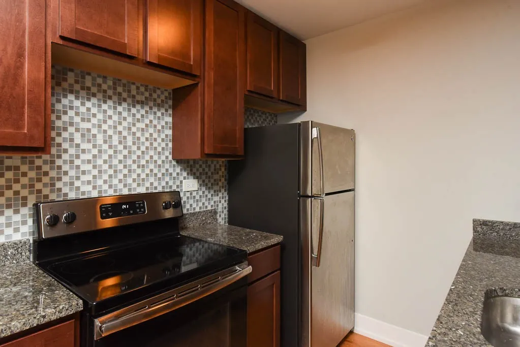 536 W Arlington Pl, ,  60614, USA 60614-unit#001-Chicago-IL