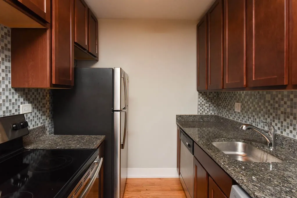 536 W Arlington Pl, ,  60614, USA 60614-unit#001-Chicago-IL