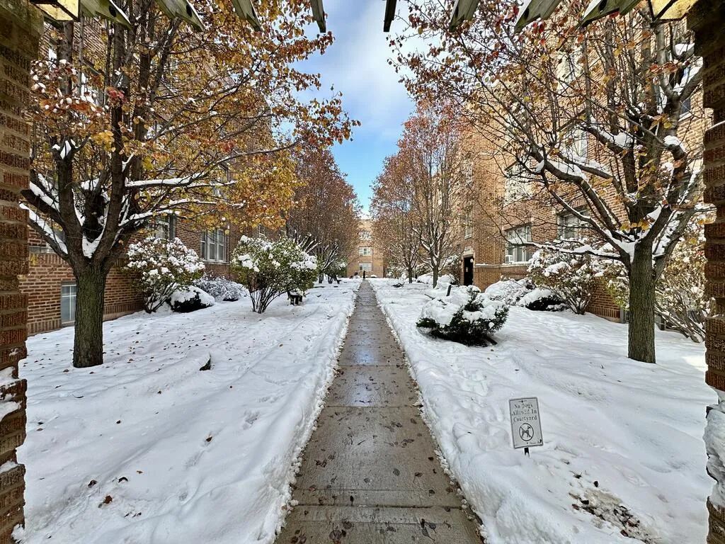 628 W Barry Ave, , 60657, USA 60657-unit#1S-Chicago-IL