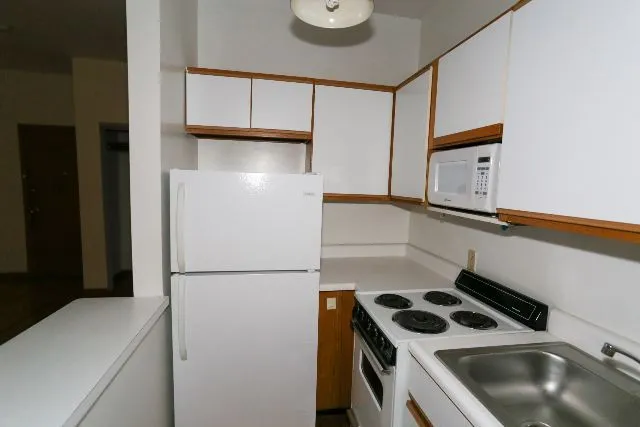 635 W Barry Ave, , 60657, USA 60657-unit#102-Chicago-IL