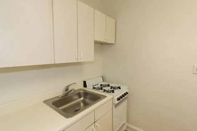 540 W Wellington Ave, , 60657, USA 60657-unit#005-Chicago-IL