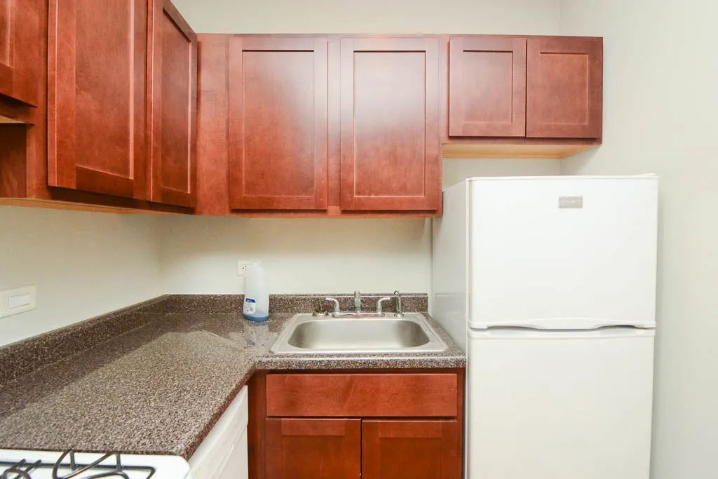 837 W Wolfram St, ,  60657, USA 60657-unit#301-Chicago-IL