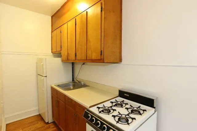 4631 N Paulina St, ,  60640, USA 60640-unit#309-Chicago-IL