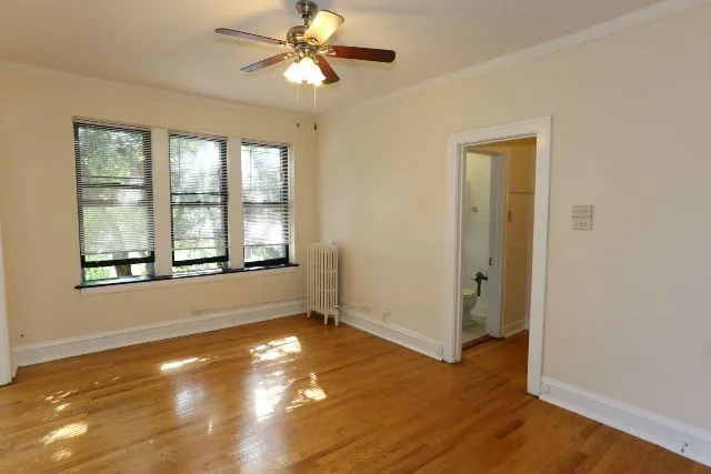 4631 N Paulina St, ,  60640, USA 60640-unit#309-Chicago-IL