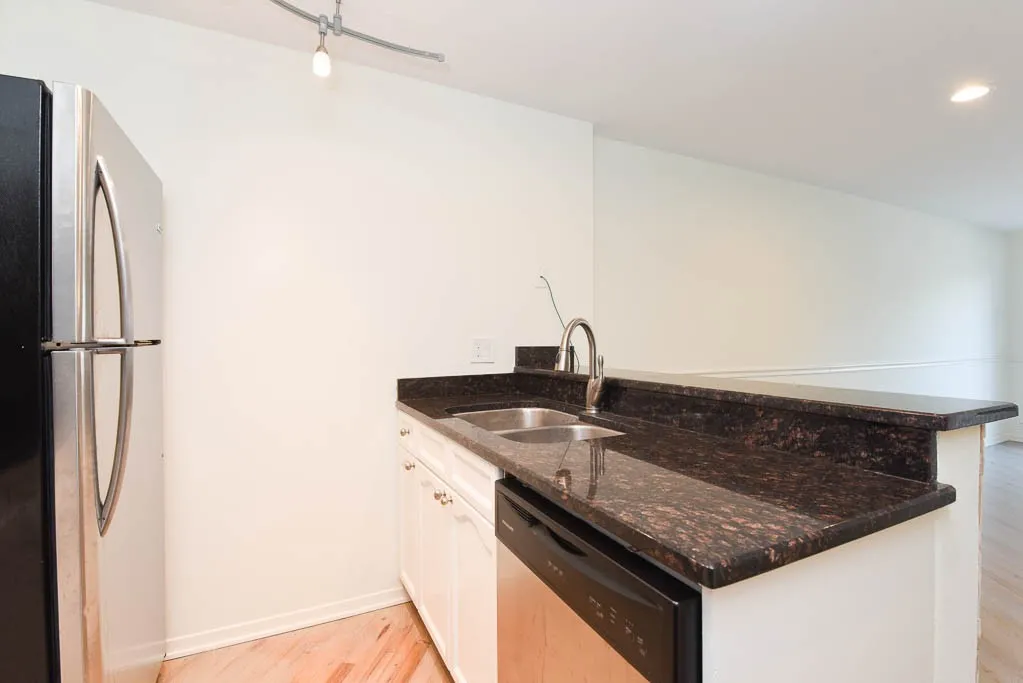 954 W Grace St, ,  60613, USA 60613-unit#A102-Chicago-IL