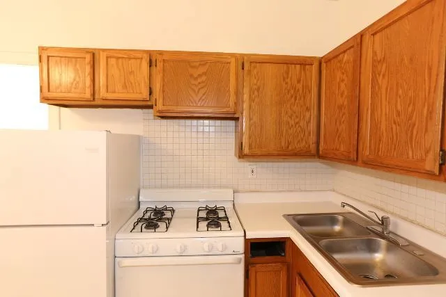 3829 N Fremont St, ,  60613, USA 60613-unit#1E-Chicago-IL