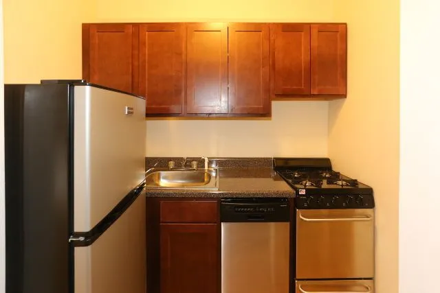 1164 N Dearborn St, ,  60610, USA 60610-unit#214-Chicago-IL